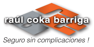logoseguros1
