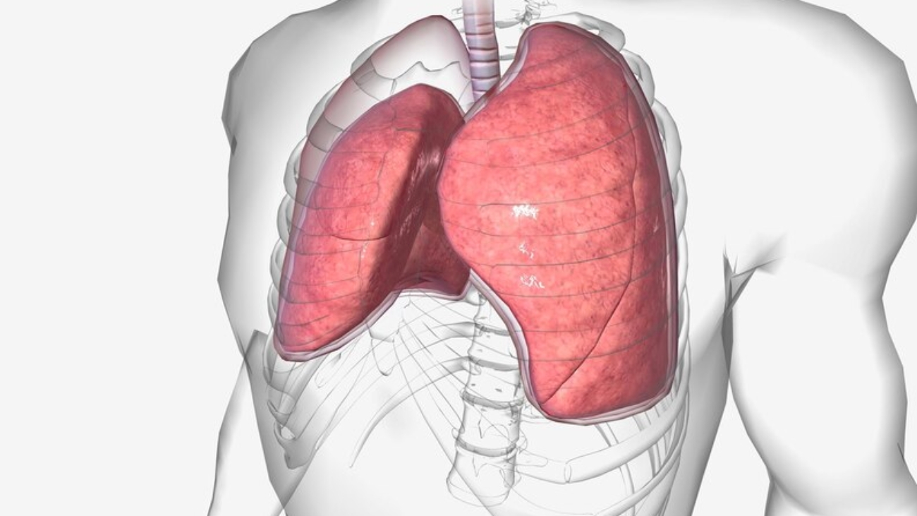 20230706203545_[fpdl.in]_neumotorax-es-afeccion-pulmonar-que-acumula-aire-alrededor-pulmones_807466-3334_medium